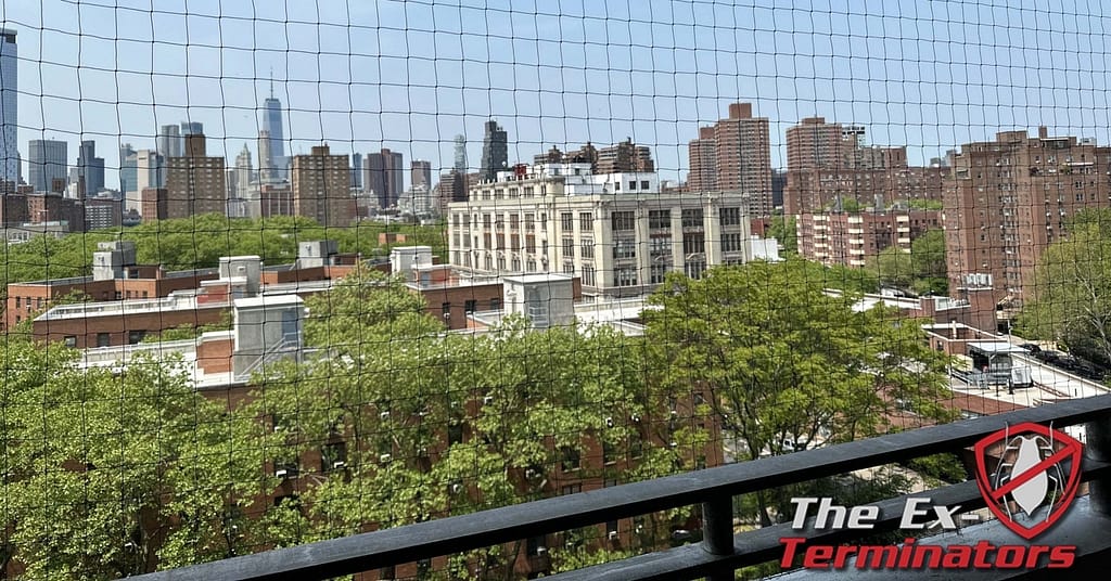 Balcony Cleaning Disinfecting Bird Netting Quote