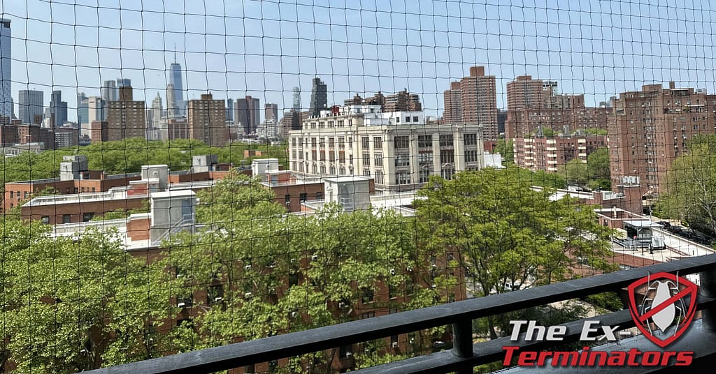 Balcony Cleaning Disinfecting Bird Netting Quote