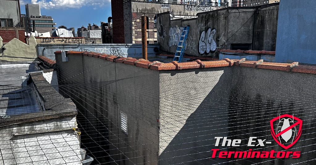 New York Bird Control