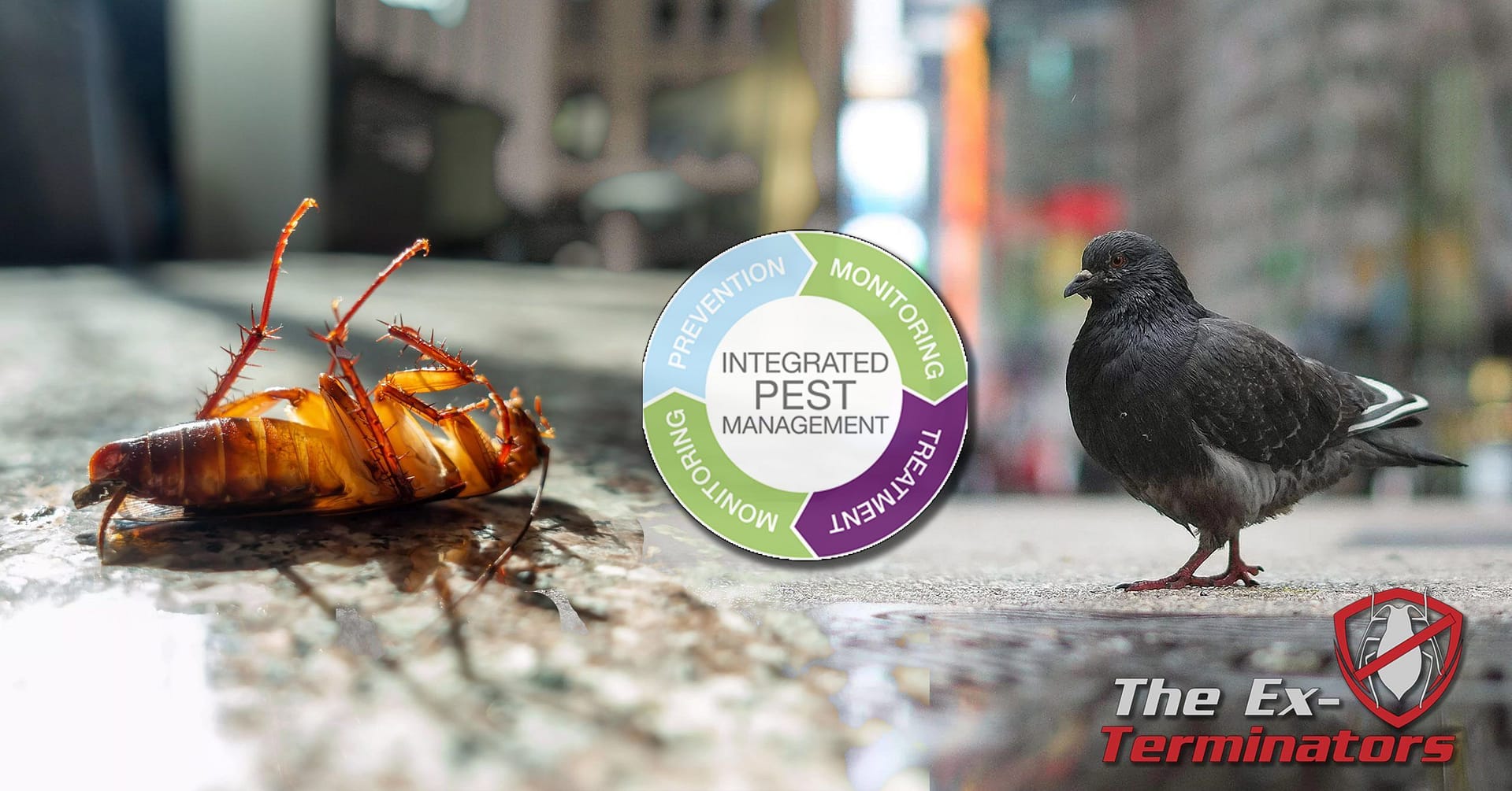 Discover Integrated Pest Management Ipm